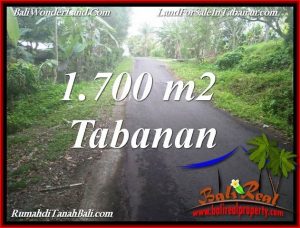 Beautiful PROPERTY 1,700 m2 LAND SALE IN TABANAN BALI TJTB385