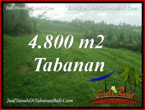 Magnificent LAND FOR SALE IN TABANAN SELEMADEG BALI TJTB387