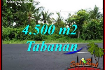 Beautiful Land sale in Tabanan TJTB395