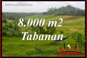Magnificent Property Land in Tabanan Bali for sale TJTB397