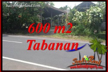 Beautiful 600 m2 Land for sale in Tabanan Selemadeg TJTB400