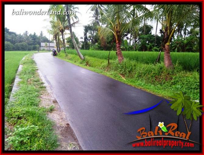 Affordable 1,122 m2 Land in Tabanan Bali for sale TJTB404