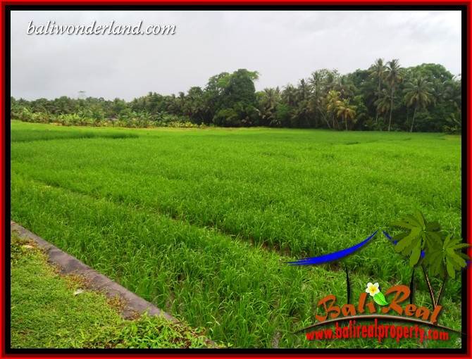 Affordable 1,122 m2 Land in Tabanan Bali for sale TJTB404