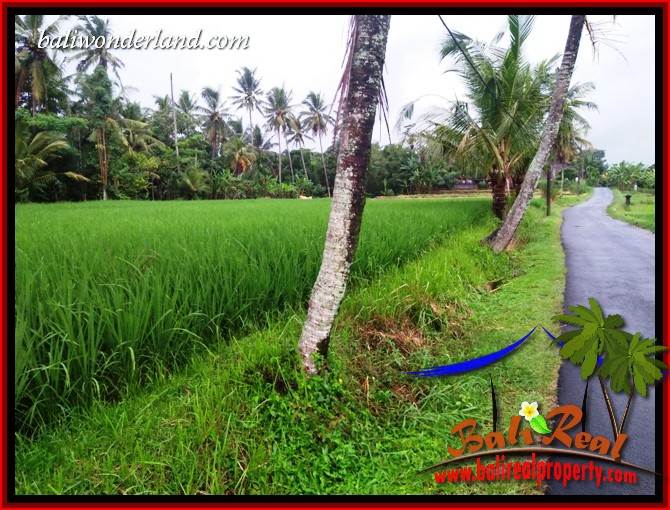 Affordable 1,122 m2 Land in Tabanan Bali for sale TJTB404