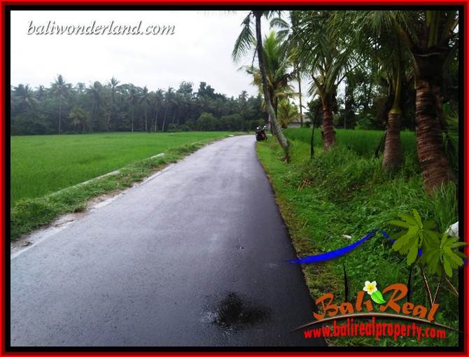 Affordable 1,122 m2 Land in Tabanan Bali for sale TJTB404