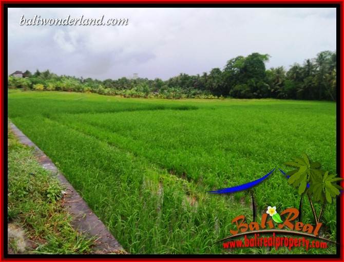 Affordable 1,122 m2 Land in Tabanan Bali for sale TJTB404