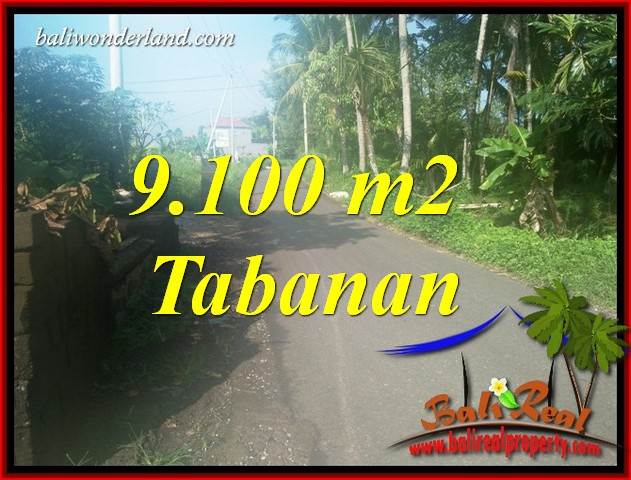 Magnificent 9,100 m2 Land sale in Tabanan Bali TJTB407