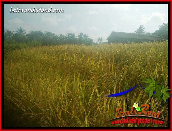 Magnificent 9,100 m2 Land sale in Tabanan Bali TJTB407