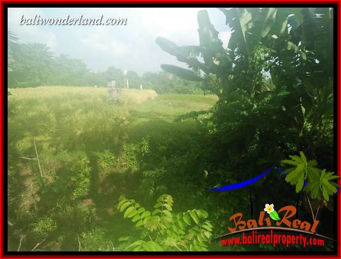 Magnificent 9,100 m2 Land sale in Tabanan Bali TJTB407
