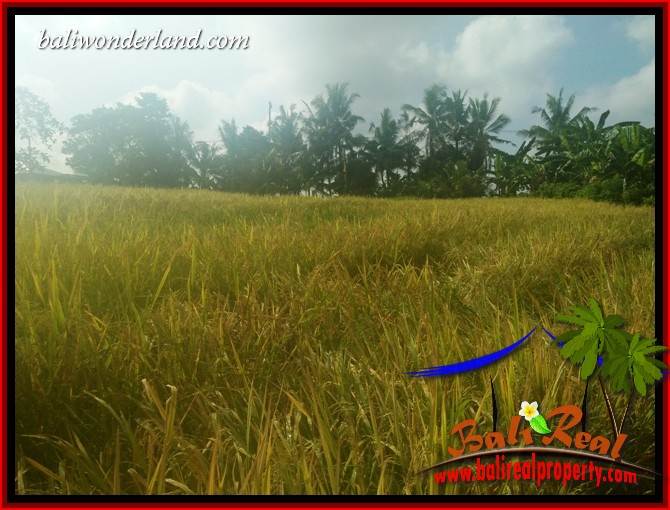 Magnificent 9,100 m2 Land sale in Tabanan Bali TJTB407