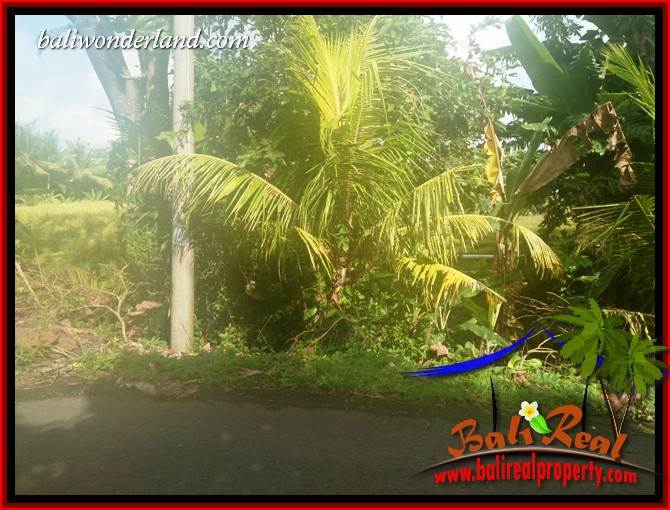 Magnificent 9,100 m2 Land sale in Tabanan Bali TJTB407