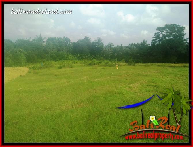 Magnificent 9,100 m2 Land sale in Tabanan Bali TJTB407