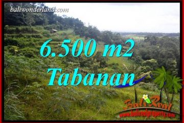 Affordable 6,500 m2 Land sale in Tabanan Bali TJTB416