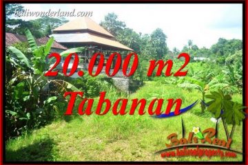 Beautiful Property Land in Tabanan Bali for sale TJTB418