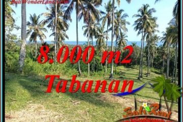 Magnificent PROPERTY 8,000 m2 LAND IN TABANAN FOR SALE TJTB488