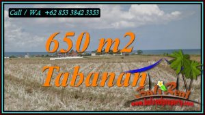 Exotic LAND IN TABANAN BALI FOR SALE TJTB453