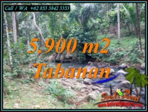 FOR SALE 5,900 m2 LAND IN SELEMADEG TABANAN TJTB458