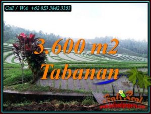 Magnificent PROPERTY 3,600 m2 LAND FOR SALE IN TABANAN TJTB461