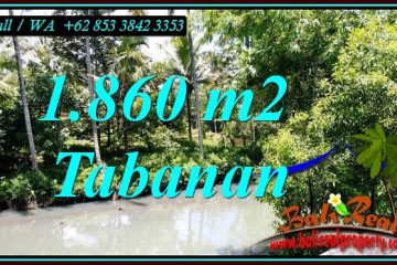 Affordable 1,860 m2 LAND FOR SALE IN SELEMADEG BALI TJTB467