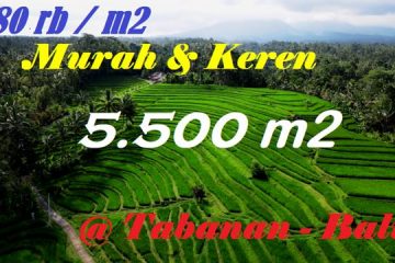 Exotic LAND FOR SALE IN Penebel Tabanan TJTB597