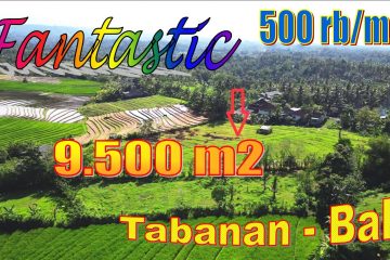 Affordable PROPERTY 9,500 m2 LAND IN TABANAN FOR SALE TJTB614