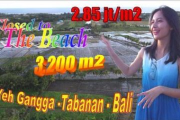 FOR SALE 3,200 m2 LAND IN Tabanan TJTB639