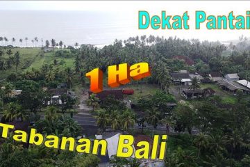 Affordable 10,000 m2 LAND FOR SALE IN Selemadeg Barat Tabanan BALI TJTB663