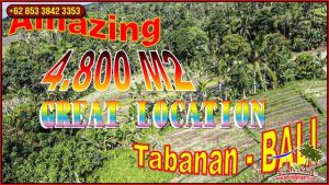 Affordable LAND IN TABANAN BALI FOR SALE TJTB659