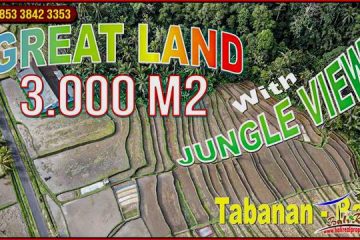 Affordable PROPERTY 3,000 m2 LAND SALE IN Penebel Tabanan BALI TJTB660