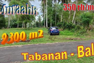 9,300 m2 LAND FOR SALE IN Selemadeg Timur Tabanan BALI TJTB627