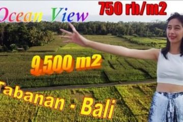 Magnificent TABANAN BALI LAND FOR SALE TJTB651