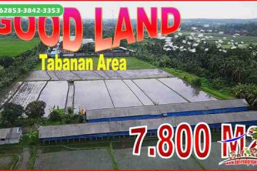 7,800 m2 LAND FOR SALE IN Kerambitan Tabanan BALI TJTB681