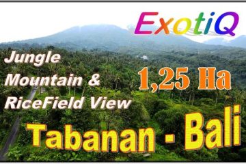 FOR SALE Exotic 20,000 m2 LAND IN Penebel Tabanan BALI TJTB698