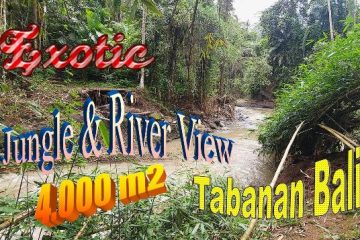 Magnificent LAND IN Marga Tabanan FOR SALE TJTB693