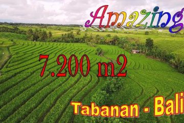 FOR SALE Magnificent PROPERTY 7,200 m2 LAND IN Selemadeg Timur BALI TJTB702