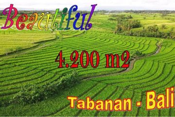 FOR SALE LAND IN TABANAN TJTB703