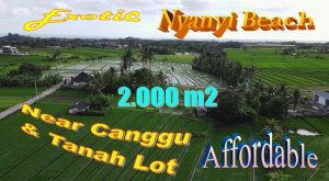 Magnificent 2,000 m2 LAND IN Kediri Tabanan BALI FOR SALE TJTB710