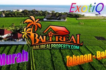 Beautiful PROPERTY 2,000 m2 LAND FOR SALE IN TABANAN TJTB732