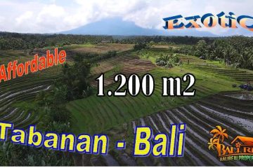 Affordable PROPERTY LAND FOR SALE IN Selemadeg Timur Tabanan TJTB724