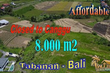 FOR SALE Magnificent PROPERTY LAND IN Kediri, Tabanan TJTB734