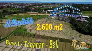 Beautiful PROPERTY 2,600 m2 LAND IN TABANAN FOR SALE TJTB735