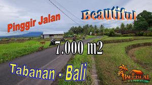 Beautiful 7,000 m2 LAND IN TABANAN FOR SALE TJTB729