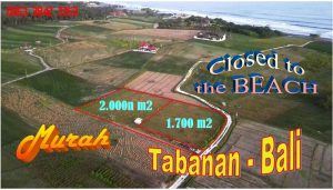 Tanah Dijual Murah di Tabanan Bali