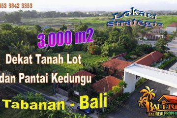 Magnificent Kediri Tabanan BALI 3,000 m2 LAND FOR SALE TJTB746