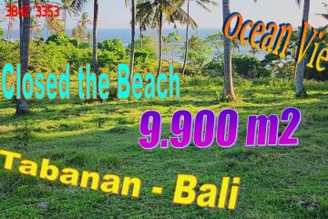 Magnificent 9,900 m2 LAND IN Selemadeg Barat, Tabanan BALI FOR SALE TJTB760