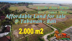 Exotic Kerambitan Tabanan BALI 2,100 m2 LAND FOR SALE TJTB770