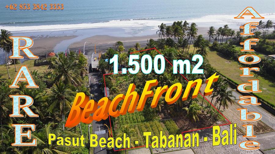 LAND SALE IN BALI Land for sale in Tabanan Bali Indonesia