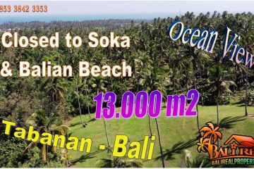 Beautiful PROPERTY 3,000 m2 LAND IN TABANAN FOR SALE TJTB756