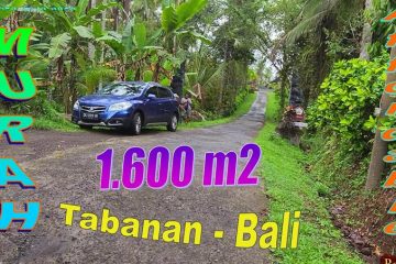 1,600 m2 LAND IN Penebel Tabanan BALI FOR SALE TJTB780