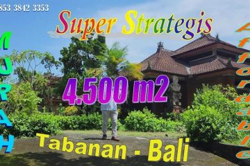 Cheap land for sale in strategic location near Tabanan City. Free ex-Puri building TJTB820